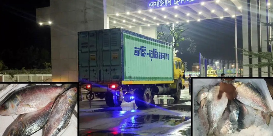 ১৫২৫ টাকা কেজি দরে ভারতে পাঠানো হলো ইলিশ
