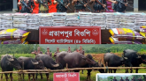 সিলেট সীমান্তে ধরা পড়লো সাড়ে ৩ কোটি টাকার চালান